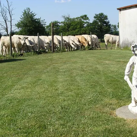 Maison Renovee A La Ferme Avec Jardin Cloture, A Proximite De Pistes Cyclables Et Sentiers - Fr-1-426-199 Ferienhaus Aizenay
